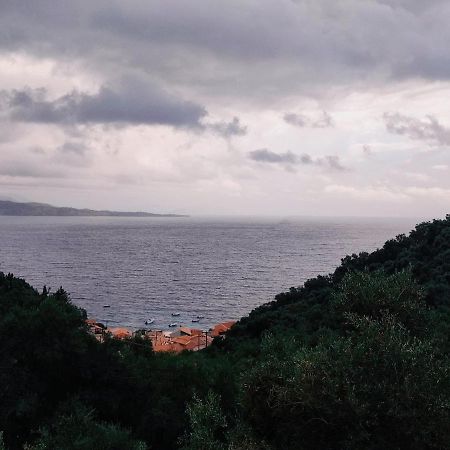 Kaminaki Seaview Apartments Katávolos Dış mekan fotoğraf