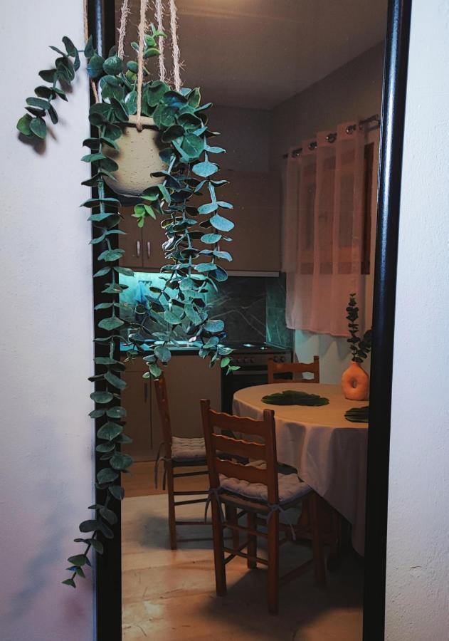 Kaminaki Seaview Apartments Katávolos Dış mekan fotoğraf
